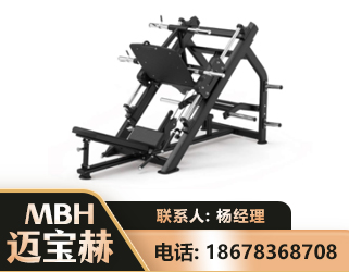 阜新45°倒蹬训练器
