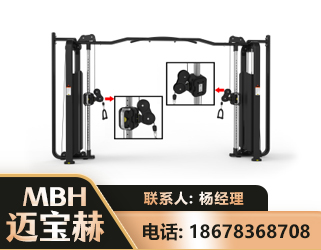 阜新大飞鸟训练器