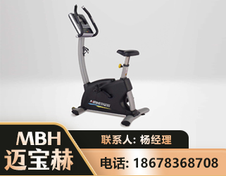 阜新立式健身车